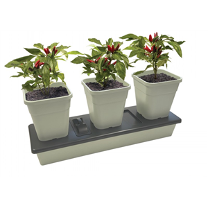 triogrow Self Watering Planter